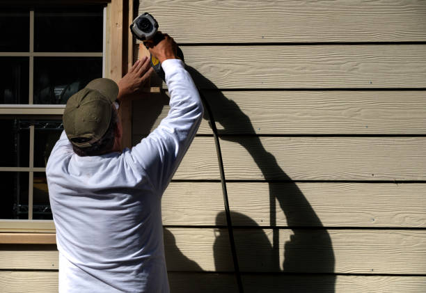 Best Custom Trim and Detailing for Siding  in Braddock, VA