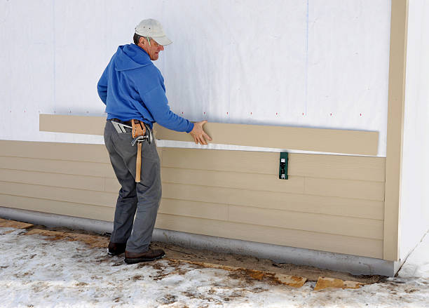Best Stone Veneer Siding  in Braddock, VA